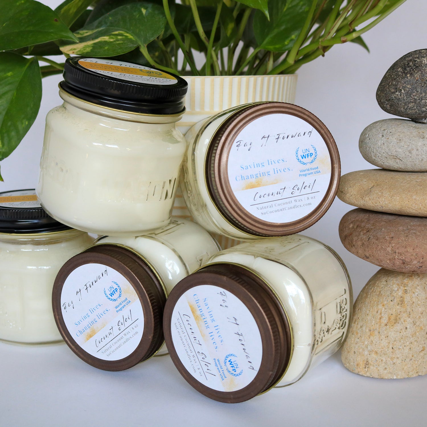 SoCoconut Candles: All Natural Coconut Wax Candles and Wax Melts